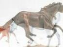 My breyer Montage 5/9/08