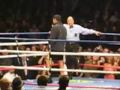rocky vi
