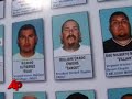 Dozens of members of the Mongol motorcycle gang have been arrested by federal agents in six states,