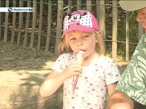 Fasanerie in Wiesbaden - ein wunderschnes Erlebnis im Wiesbadener Tierpark