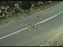 La mort n\
