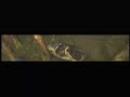 Marlin the Elite - Episode 4 Deleted Scenes Marlin the Elite - Episode 4 Deleted Scenes