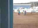 Pony Ride