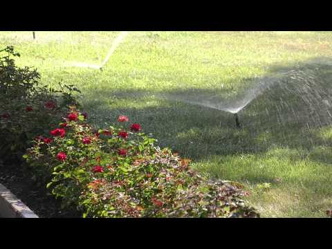 Просмотр видео