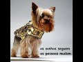 Palavras ao Vento