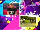 Viva kutyás Interjú 2/1 Viva kutyás Interjú 2/1