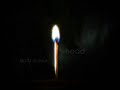 matchstick-bulimia.html