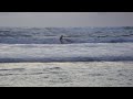 Evening Waves in Biarritz