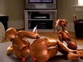 Robax DRTV spot