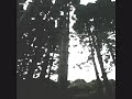 Caminhando no Bosque