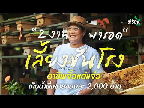 “2 งาน พารอด” เลี้ยงชันโรง อาชีพจิ๋วแต่แจ๋ว เก็บน้ำผึ้งขายขวดละ 2,000 บาท