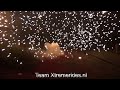 Click here to watch this video Zink 751-1 Bodenblitz (Groundsalute)