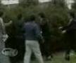 Mobsters Fight