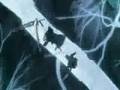 God Module - AMV