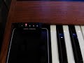 prophet-5 VOICE ASSIGN LED prophet-5 VOICE ASSIGN LED