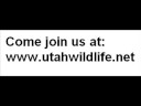 www.utahwildlife.net (UWN)