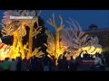 FLOWER PARADES OF HOLLAND