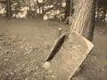 ghost sighting in cemetery