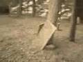 ghost sighting in cemetery