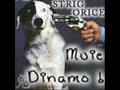 Anti Dinamo Caini Filmuletz Misto :)
