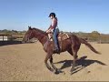 Meradas Bingo Chex - \"Jingles\"