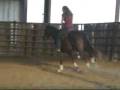 videos de Meradas Bingo Chex - 