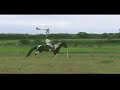 Mangalarga Marchador Pampa