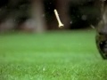 PGA Championship Golf 2000 trailer