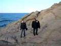 capo pecora - arbus