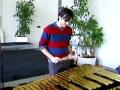 How to play the Vibraphon? How to play the Vibraphon?