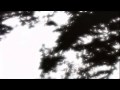BT (Brian Transeau) - Deeper Sunshine