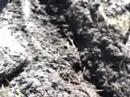 stuck