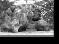 Le Elephant, Fontainebleau