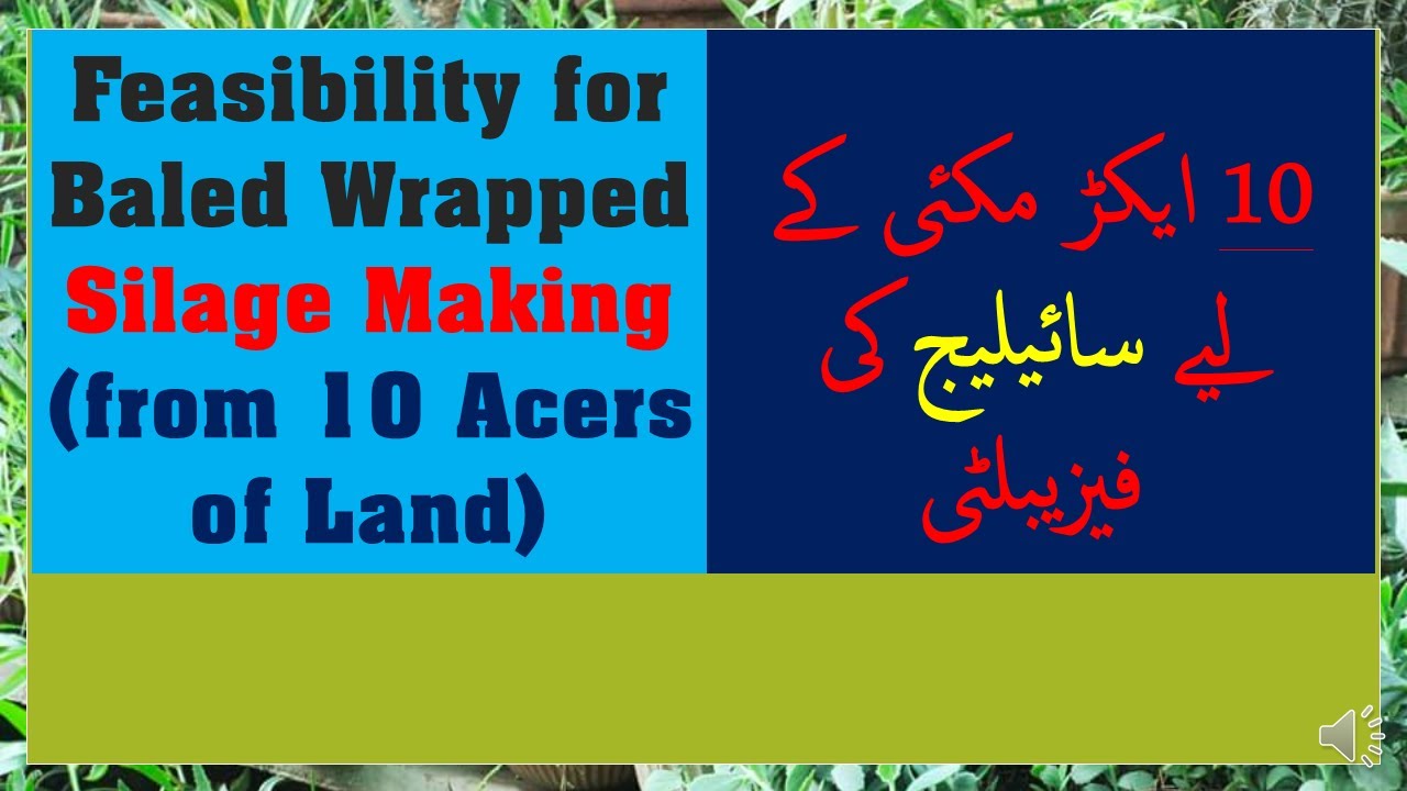 Feasibility for Baled Wrapped Silage Making(from 10 Acres of Land)-Urdu-Hindi