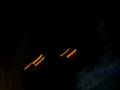 videos de wrecked dayz