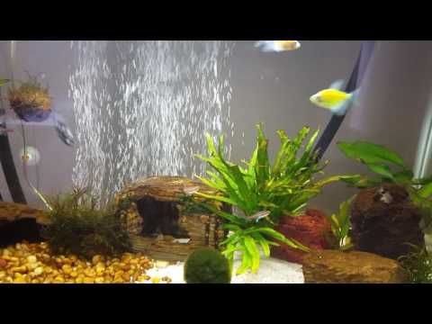 video-linktoworks-Getting enough Oxygen in your tank