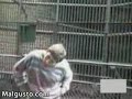 Mono escupe en la cara a visitante de zoológico