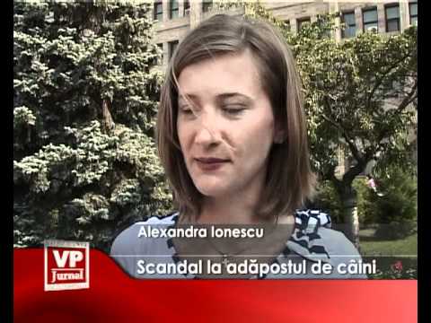 Scandal la adapostul de caini