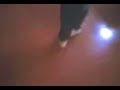 duelo de reggaeton duelo de reggaeton