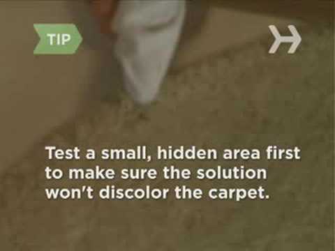 how to remove coffee stains from a carpet