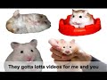 How to Watch Internet TV on Network2 How to Watch Internet TV on Network2
