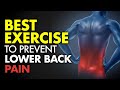 Best Exercise to Prevent Lower Back Pain