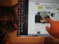 I thought my cat might learn vicariously but she lost interest when the automatic litter box started up (in the background.)