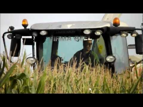 ensilage -