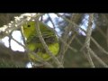Sheldon NWR - Wildlife Film - Thumb #1