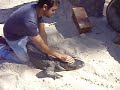 Tony Pigtain catching an alligator at Gator Adventure Park in Orlando.  Tony is one of the smoothest alligators out there.