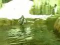 Montreal's Biodome: Penguin Feeding
