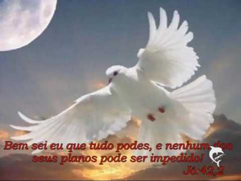 ESTE VIDEO FAZ PARTE DA RÁDIO DIMENSÃO GOSPEL.