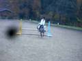 videos de sceance d'obstacle 15 novembre