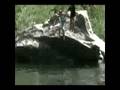 videos de The Boulder - Final Edition